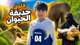 فلوق مع الفيلة والذيب عن قرب🫪 جنوب افريقيا🇿🇦ج٤