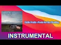 Katie Pruitt - Fools for the Fleeting (INSTRUMENTAL)