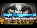 Download Lagu Eps 11.Cupu Linggamanik (awal mula Batara Narada sebagai penasehat kahyangan)
