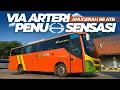 Download Lagu SEMAKIN SEPI PENUMPANG😔KALAH BERSAING DENGAN BUS VIA FULL TOL⁉️Trip Anugerah 88 Probolinggo-Surabaya