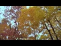 Download Lagu Turkish Instrumental Music...