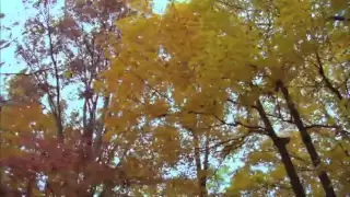 Turkish Instrumental Music 