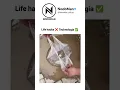 Download Lagu Life hacks ❌ Technologia ✅