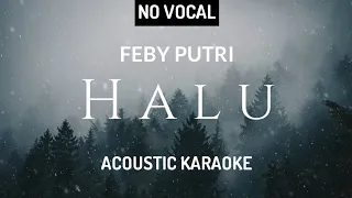 Download Feby Putri - Halu ( Acoustic Karaoke ) MP3