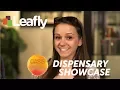 Dispensary Showcase Oasis Medical Cannabis in Las Vegas Nevada