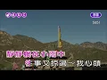 流水年華~鳳飛飛~女C調~伴奏~導唱~無live鼓丙