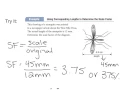 Math 9 Scale Factor