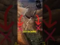 Download Lagu Strategy of Muslims in the Battle of Badr ⚔️ #history #facts