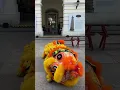 Download Lagu Yiwei Lion Dance Performance