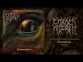 Download Lagu Carach Angren - Lammendam (Official Album Stream)