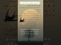 Download Lagu When Will the Life of the Hereafter End? | Imam Al-Ghazali's Powerful Reminder #shorts