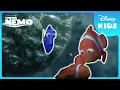 Fish in a Net Will They Break Free Finding Nemo Disney Kids