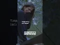 Download Lagu Bintang Yang Hilang | #arviandwi #bintangyanghilang #feed #feedshorts #fyp #fypage #fypシ゚viral