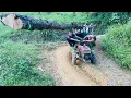 Download Lagu agricultural vehicles transporting timber to harvest trees in rural areas