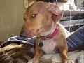 side eye