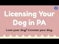 Dog Licensing in PA