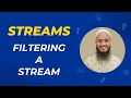 How to Filter Elements of Stream in Java Stream