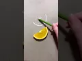Realistic lemon drawing