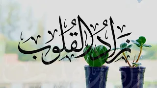 زاد القلوب   نشيد ختمة عام   كلمات تركي الفهيد   اداء عثمان مفتقر دندنها