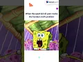 Splashlearn