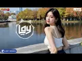 Download Lagu (เบสแน่นๆ) เพลงแดนซ์สากลฟังสบายชิลๆเพราะๆ 2024 (คัดมาแล้ว) (Mini-NonstopMix V.95) DjLoyReMix