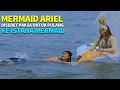 Download Lagu Mermaid ariel diseret paksa untuk pulang ke istana mermaid - mermaid in love 2 dunia