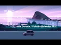 Conures - Progressive House & Melodic House Mix 🎧 2021/06/13