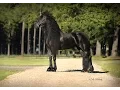 Download Lagu Truus Van Het Houkumhuis ~ Model mare ~ Little River Friesians