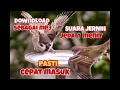 Download Lagu MASTERAN GREJA TARUNG JERNIH.JEDA 1 MENIT.