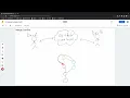 EE491F Data Driven Web Development Git Collaboration Merge Conflict