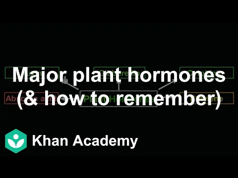 Major plant hormones how to remember Control Coordination Biology Khan Academy - Science video for Grade 10