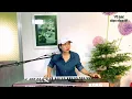Download Lagu Lời anh hứa | nhạc trữ tình tuyển chọn | nhạc bolero hay