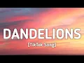 Download Lagu Ruth B. - Dandelions (Lyrics) \