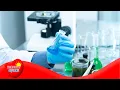 Reviewing Lab Practices - More Lab Safety on the Learning s Channel