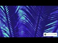 L.G.7-SUMMER TIME(music audio)