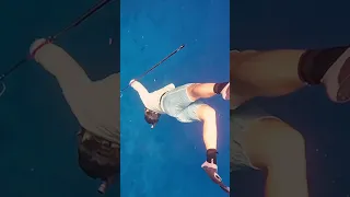 Probably the Biggest Fish I’ve Speared #spearfishing #boatlife #bahamas