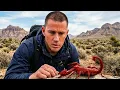 Lagu Channing Tatum vs DEADLY Scorpion | Bear Grylls' Running Wild