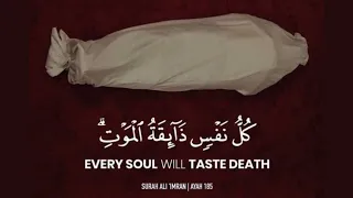                                                                    دندنها