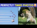 Download Lagu Perfectly Timed Photos That Are Better Than Any Photoshop 😲📸 | Happy And Fun