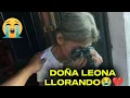 🚨URGENTE🚨DOÑA LEONA PIDE LLORANDO QUE REGRESEN LOS CANALES😭💔😡😡