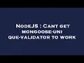 NodeJS Cant get mongoose-unique-validator to work