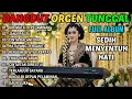 Download Lagu DANGDUT SEDIH DAN SYAHDU TERBARU 2025 | AIR MATA DI PELAMINAN | DANGDUT PILIHAN MENYENTUH HATI