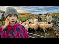 Lagu What Life Is Like On The UK’s Most Remote Inhabited Island