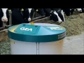 Download Lagu GEA Dairy Farming - FRone voeraanschuifrobot - MCN Drachten