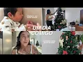 De alta! Adaptação com recém nascido em casa, montando nossa árvore de Natal 🌲🎅🏻