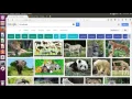 TensorFlow image recognition and machine learning