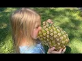 Brookville Lake Camping Mounds SRA Indiana