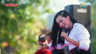 Download PAMER BOJO - ELSA SAFIRA OM ADELLA   TERBARU LIVE WOKER  SPESIAL CEDOL DAWET TERENAK MP3