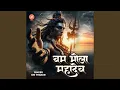 Download Lagu Bam Bhola Mahadev