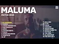 Maluma Éxitos 2025 (Best Of | Hits) - Sobrio, 11PM, Hawai, HP, ADMV, Cuatro Babys...